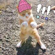 ヒメ日記 2025/01/21 23:16 投稿 ねね カワサキ EROTIC