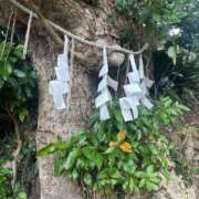 ヒメ日記 2025/01/27 14:04 投稿 ねね カワサキ EROTIC