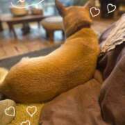 ヒメ日記 2025/02/02 17:46 投稿 ねね カワサキ EROTIC