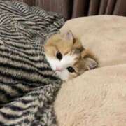 ヒメ日記 2025/02/04 06:40 投稿 ねね カワサキ EROTIC