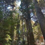 ヒメ日記 2025/02/04 11:17 投稿 ねね カワサキ EROTIC