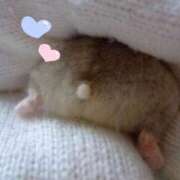 ヒメ日記 2025/03/08 09:02 投稿 ねね カワサキ EROTIC