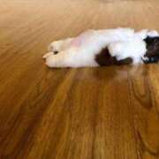 ヒメ日記 2025/03/08 23:30 投稿 ねね カワサキ EROTIC