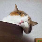 ヒメ日記 2025/03/09 05:48 投稿 ねね カワサキ EROTIC