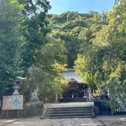 ヒメ日記 2025/03/10 09:45 投稿 ねね カワサキ EROTIC