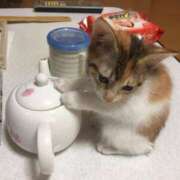 ヒメ日記 2025/03/12 09:36 投稿 ねね カワサキ EROTIC