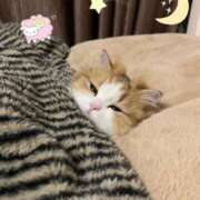 ヒメ日記 2025/03/12 23:37 投稿 ねね カワサキ EROTIC