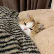 ヒメ日記 2025/03/13 22:31 投稿 ねね カワサキ EROTIC