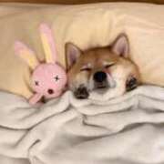 ヒメ日記 2025/03/14 05:37 投稿 ねね カワサキ EROTIC