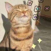 ヒメ日記 2025/03/14 16:45 投稿 ねね カワサキ EROTIC