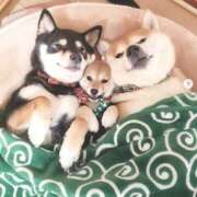 ヒメ日記 2025/03/14 23:41 投稿 ねね カワサキ EROTIC