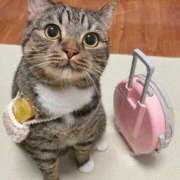 ヒメ日記 2025/03/15 11:51 投稿 ねね カワサキ EROTIC