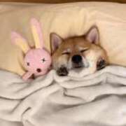 ヒメ日記 2025/03/17 22:15 投稿 ねね カワサキ EROTIC