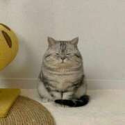 ヒメ日記 2025/03/19 04:45 投稿 ねね カワサキ EROTIC