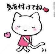 ヒメ日記 2025/03/19 09:47 投稿 ねね カワサキ EROTIC