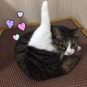 ヒメ日記 2025/03/20 11:30 投稿 ねね カワサキ EROTIC