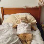 ヒメ日記 2025/03/21 05:01 投稿 ねね カワサキ EROTIC