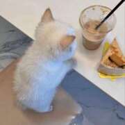 ヒメ日記 2025/03/21 22:31 投稿 ねね カワサキ EROTIC