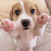 ヒメ日記 2025/03/22 08:21 投稿 ねね カワサキ EROTIC