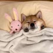 ヒメ日記 2025/03/23 02:00 投稿 ねね カワサキ EROTIC