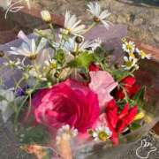 ヒメ日記 2025/03/24 14:19 投稿 ねね カワサキ EROTIC