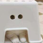 ヒメ日記 2025/03/24 22:16 投稿 ねね カワサキ EROTIC