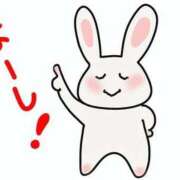 ヒメ日記 2025/03/25 05:00 投稿 ねね カワサキ EROTIC