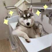 ヒメ日記 2025/03/27 00:30 投稿 ねね カワサキ EROTIC