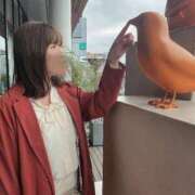 ヒメ日記 2025/02/23 13:41 投稿 いちか ジャパンクラブ富士