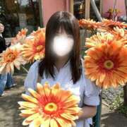 ヒメ日記 2025/05/01 13:12 投稿 いちか ジャパンクラブ富士