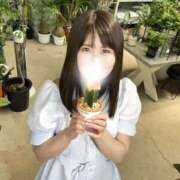 ヒメ日記 2025/06/16 11:32 投稿 いちか ジャパンクラブ富士