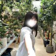 ヒメ日記 2025/09/26 07:12 投稿 いちか ジャパンクラブ富士