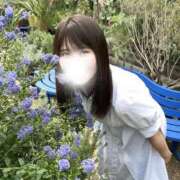 ヒメ日記 2026/08/14 22:42 投稿 いちか ジャパンクラブ富士