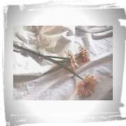 ヒメ日記 2025/12/31 15:35 投稿 響紀（ひびき） 人妻の蜜