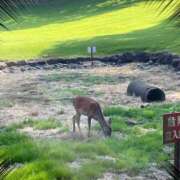 ヒメ日記 2025/07/06 11:30 投稿 ふたば 熟女の風俗最終章 相模原店