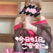 ヒメ日記 2025/02/06 11:48 投稿 菜々緒(ななお) 可憐な妻たち 太田店