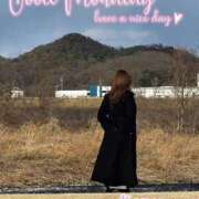 ヒメ日記 2025/02/09 08:56 投稿 菜々緒(ななお) 可憐な妻たち 太田店