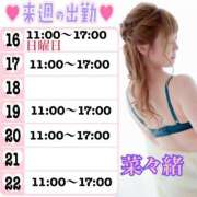 ヒメ日記 2025/02/10 10:30 投稿 菜々緒(ななお) 可憐な妻たち 太田店