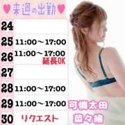 ヒメ日記 2025/03/23 10:17 投稿 菜々緒(ななお) 可憐な妻たち 太田店