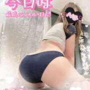 ヒメ日記 2025/04/26 08:00 投稿 菜々緒(ななお) 可憐な妻たち 太田店