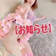 ヒメ日記 2025/04/28 09:33 投稿 菜々緒(ななお) 可憐な妻たち 太田店