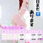 ヒメ日記 2025/12/02 05:00 投稿 菜々緒(ななお) 可憐な妻たち 太田店