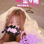 ヒメ日記 2026/02/16 12:05 投稿 菜々緒(ななお) 可憐な妻たち 太田店