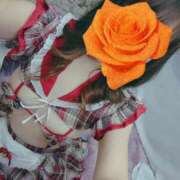 ヒメ日記 2026/03/26 17:00 投稿 池野こい 池袋3P複数プレイ専門店 ハーレム