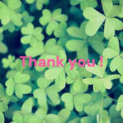 ヒメ日記 2025/07/14 22:16 投稿 川崎ふたば 華女(かのじょ) 松山店