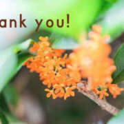 ヒメ日記 2025/10/07 21:54 投稿 川崎ふたば 華女(かのじょ) 松山店