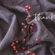 ヒメ日記 2025/11/24 22:32 投稿 川崎ふたば 華女(かのじょ) 松山店