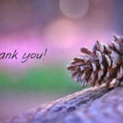 ヒメ日記 2025/12/16 21:43 投稿 川崎ふたば 華女(かのじょ) 松山店