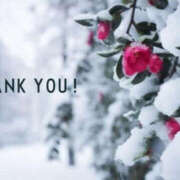 ヒメ日記 2026/01/13 19:59 投稿 川崎ふたば 華女(かのじょ) 松山店