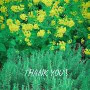 川崎ふたば ♡お礼♡ 華女(かのじょ) 松山店